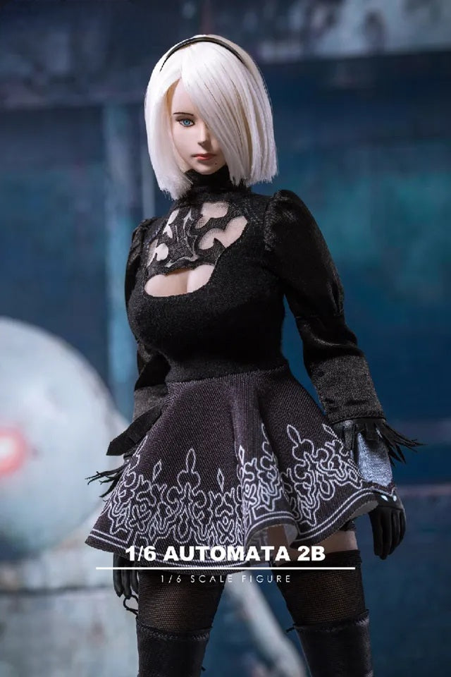 Nier Action Figure Set (Phicen)